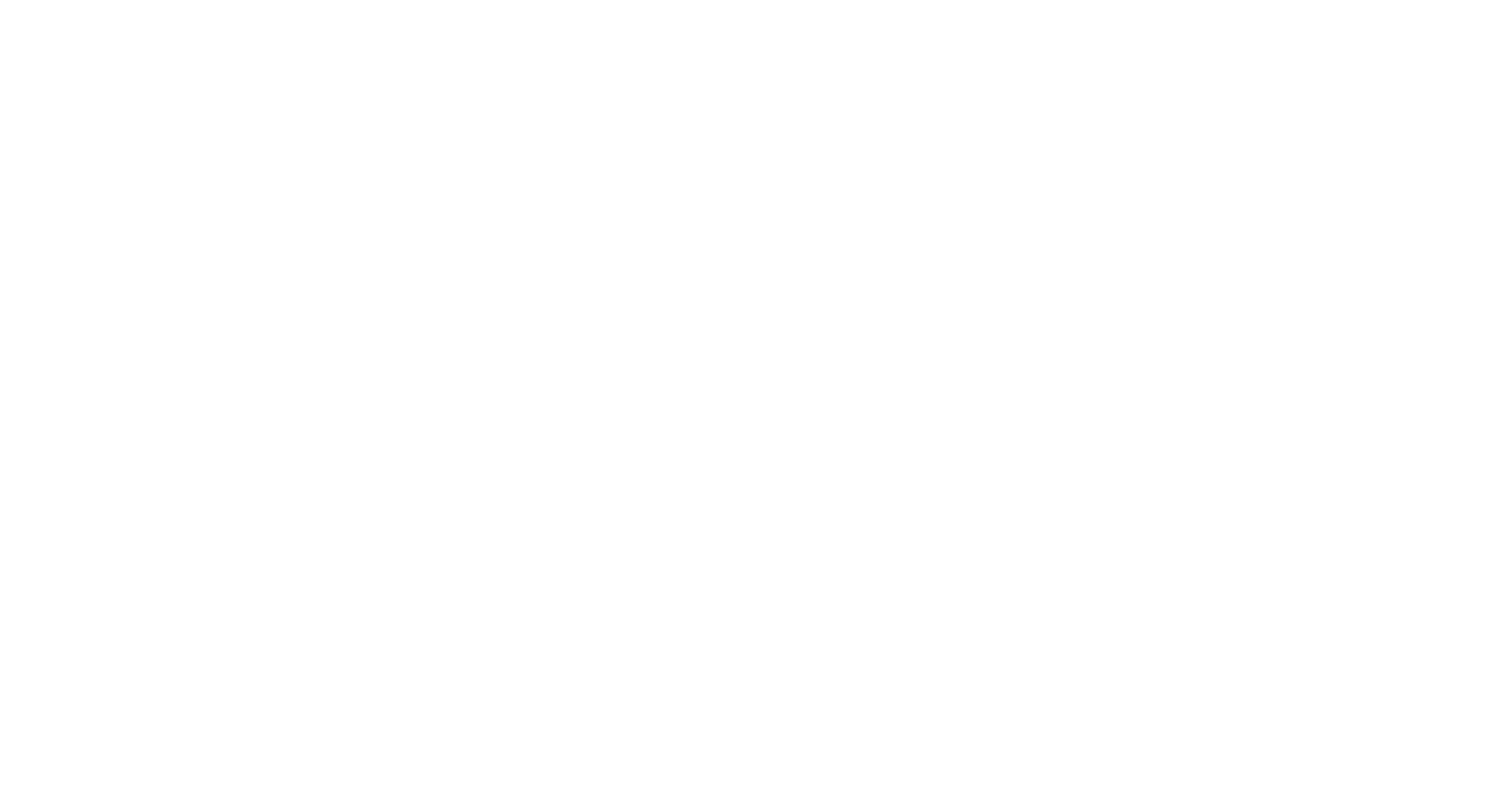 Fast Shop Fast Shop